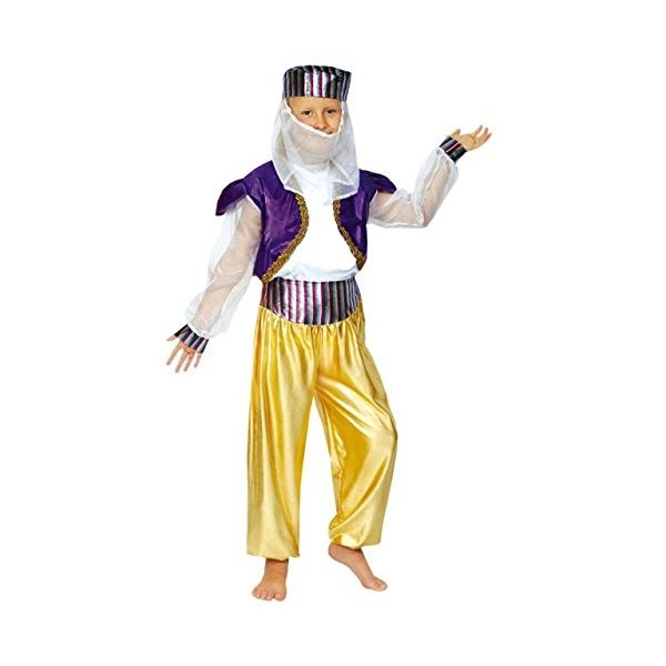 Disfraz Bailarina Arabe Aladdin