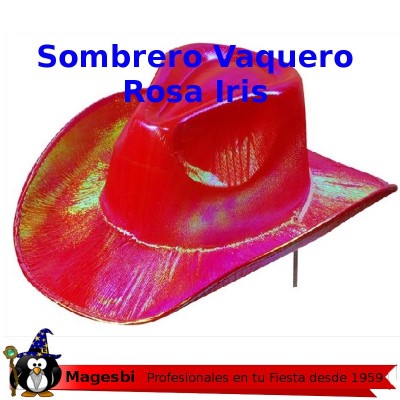 Sombrero Vaquero Rosa Metalizado